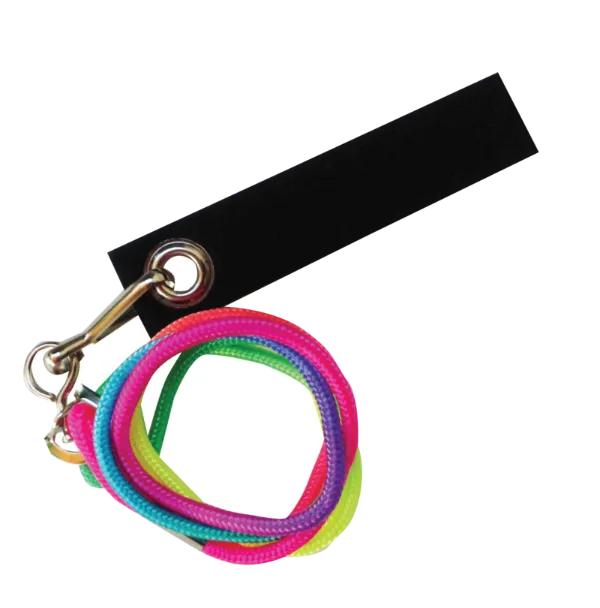 Avian Fashions Lanyard - Rainbow