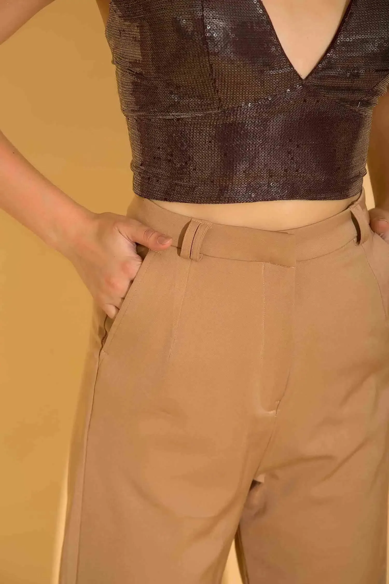 Beige Formal Pants