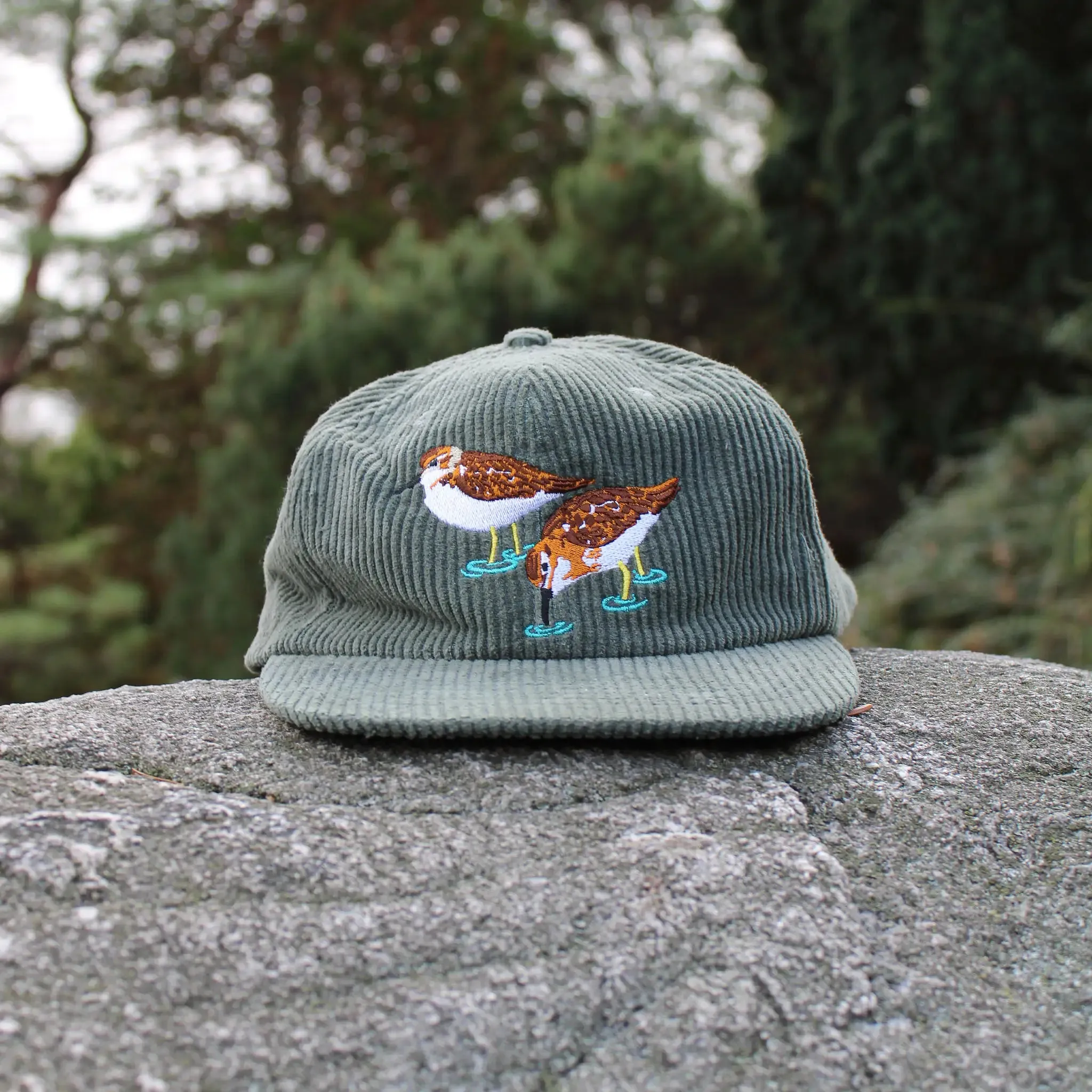 Least Sandpipers Chunky Corduroy Hat