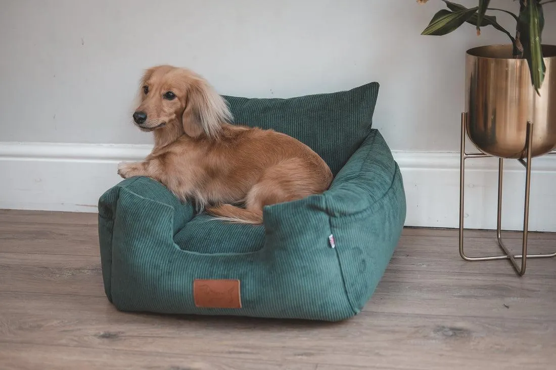 Where's Winnie Luxury Isofix Dog Car Seat | Country Green